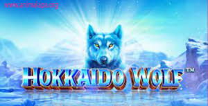 HOKKAIDO WOLF Slot Gacor dengan Kekuatan Serigala