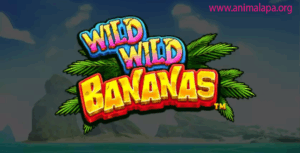Slot Wild Wild Bananas: Grafis Memukau, Gameplay Seru