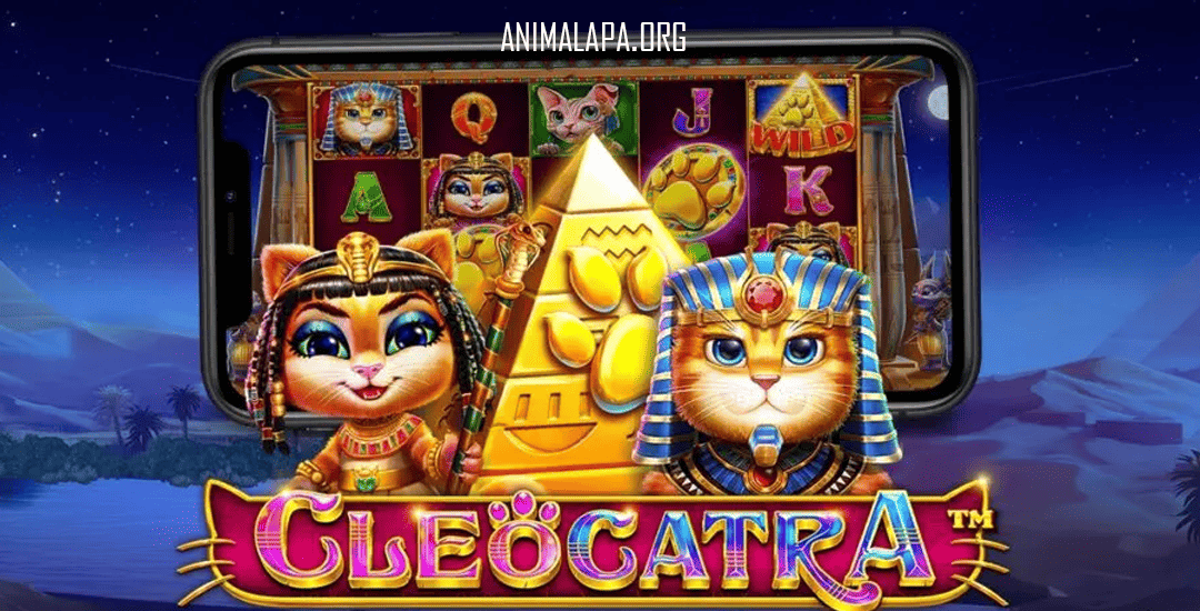 Cleocatra®