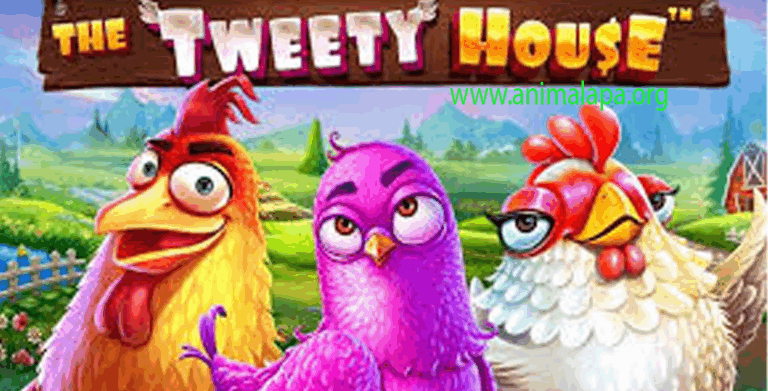 Play The Tweety House Slot PG Soft: Petualangan Manis