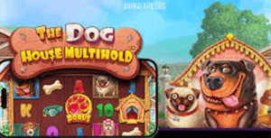 The Dog House Multihold™: Mesin Slot Mengusung Tema Anjing