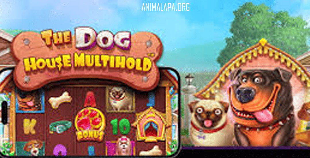 The Dog House Multihold™