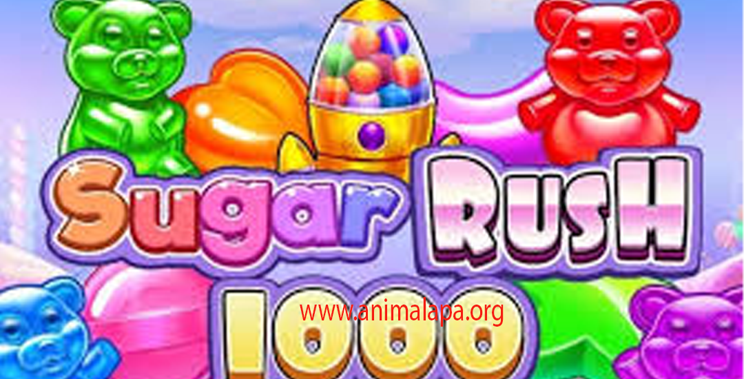 Sugar Rush 1000