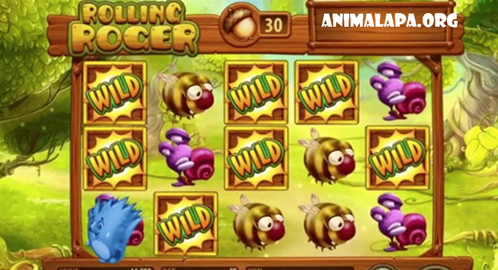 animalapa