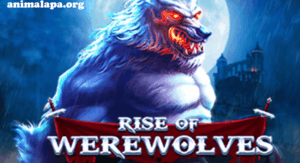 Rise of Werewolves oleh Spadegaming: Petualangan Seru di Dunia Mistis