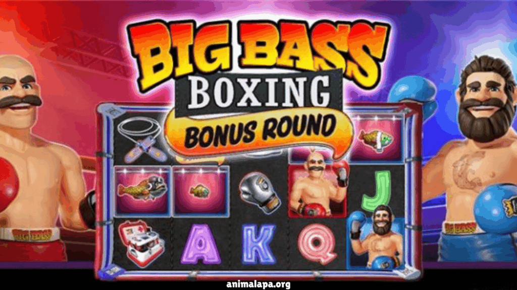 Big Bass Boxing Bonus Round di Dollartoto: Petualangan Seru Menang Besar